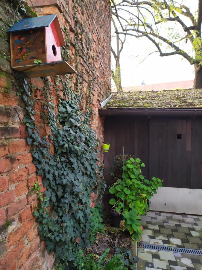 Cozy Uppertown Studio Zagreb Luaran gambar